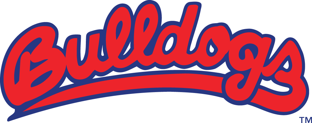 Fresno State Bulldogs 0-Pres Wordmark Logo diy iron on heat transfer